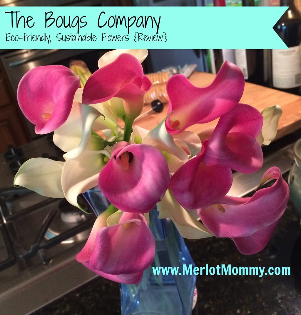 Get Beautiful Flowers from The Bouqs Company {Review}