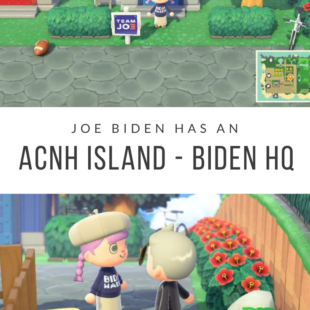 Joe Biden Has an Island on Animal Crossing