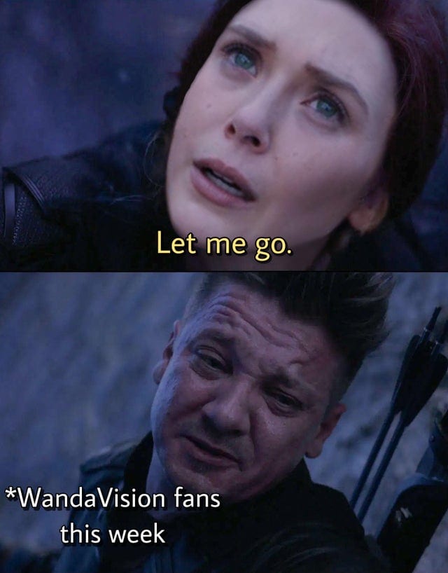 wandavision fans