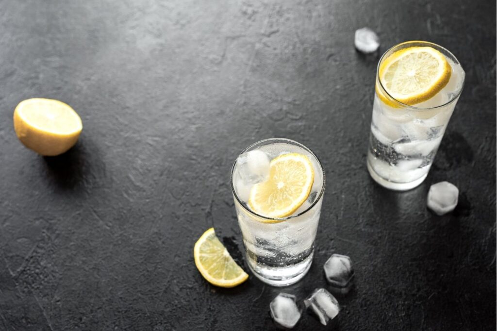 gin and tonic lemon