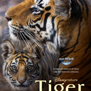 Disneynature’s TIGER poster