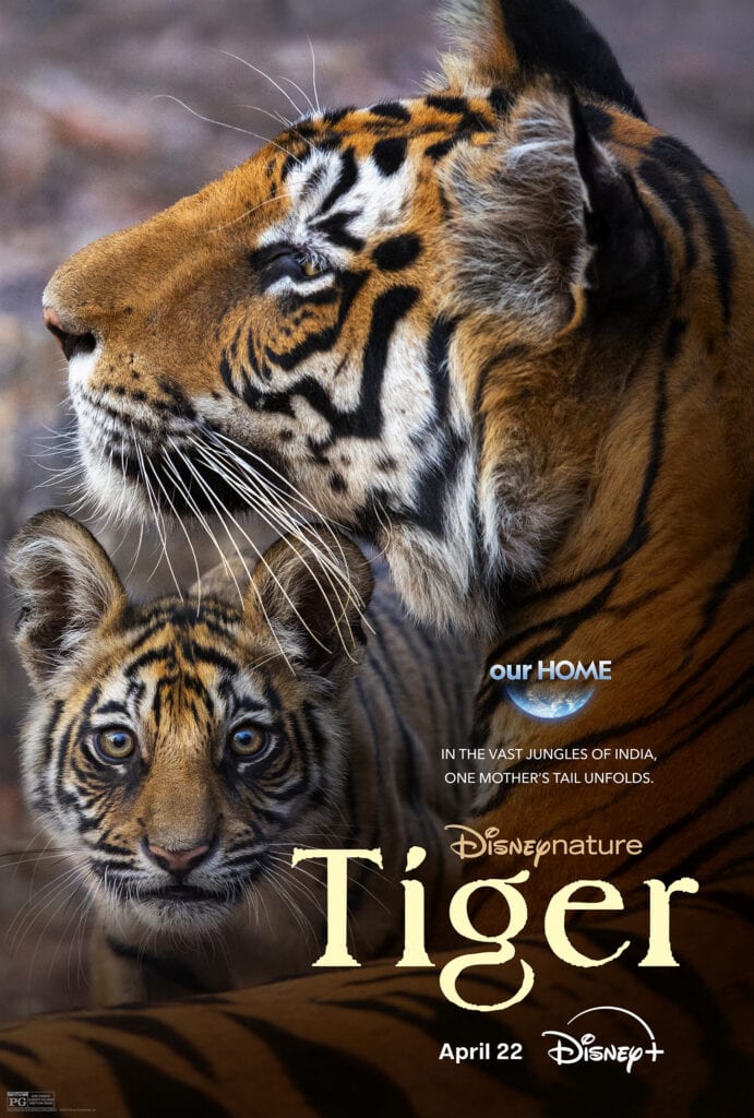 Disneynature’s TIGER poster